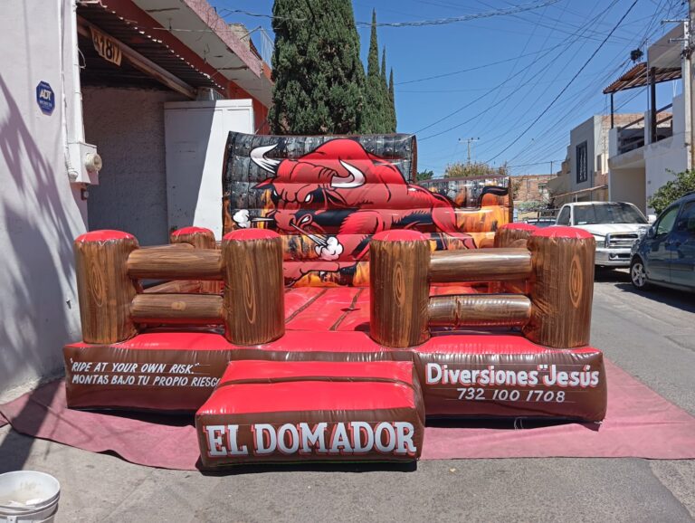 WhatsApp Image 2026-03-11 at 13.19.47