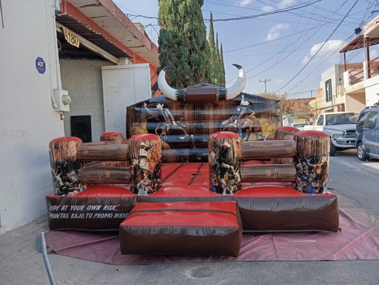 WhatsApp Image 2026-03-11 at 13.19.48 (1)