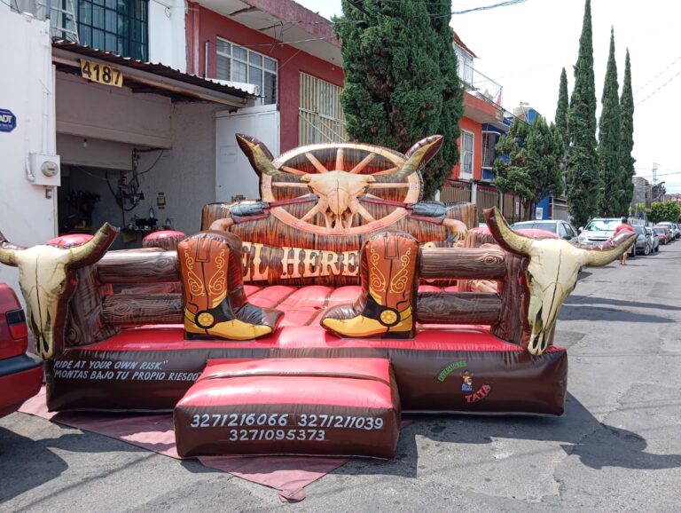 WhatsApp Image 2026-03-11 at 13.19.49 (2)