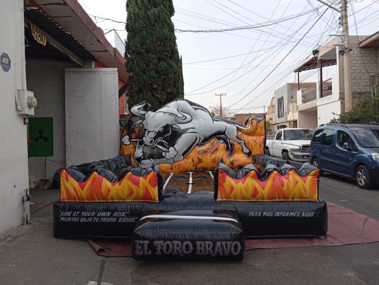 WhatsApp Image 2026-03-11 at 13.19.49 (3)