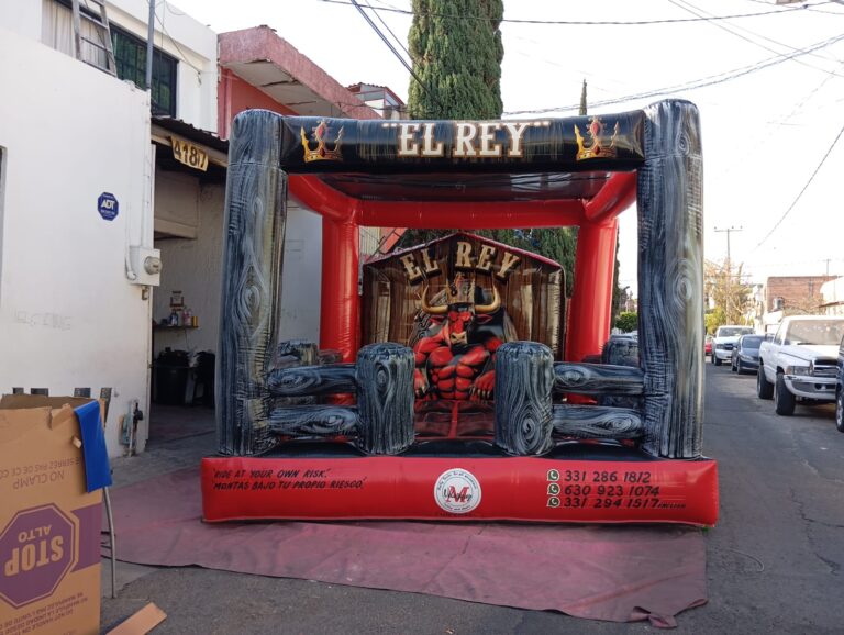 WhatsApp Image 2026-03-11 at 13.19.49