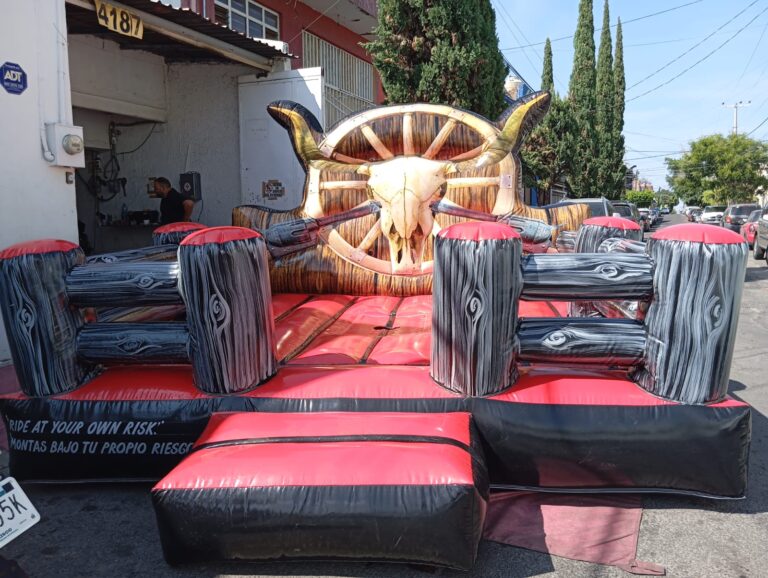 WhatsApp Image 2026-03-11 at 13.19.50 (1)