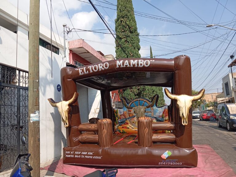 WhatsApp Image 2026-03-11 at 13.19.50