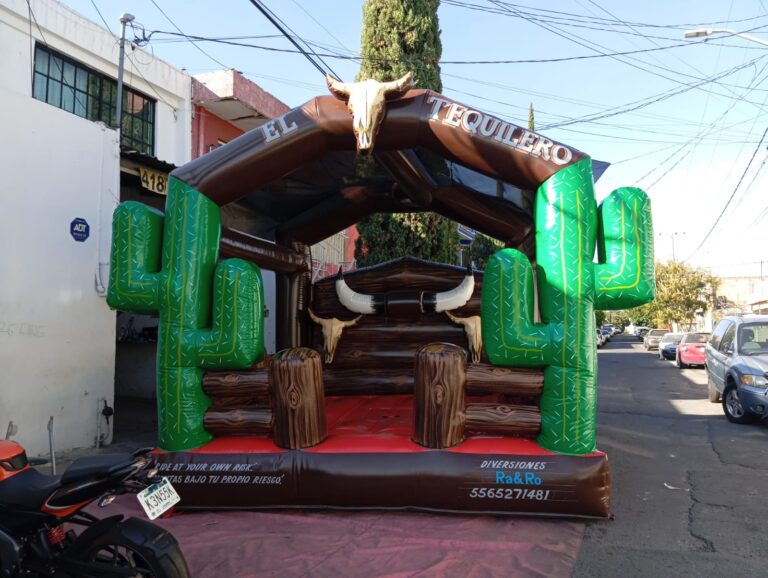 WhatsApp Image 2026-03-11 at 13.19.51 (2)