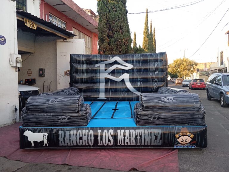 WhatsApp Image 2026-03-11 at 13.19.51