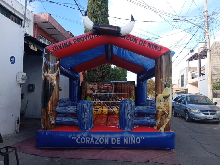 WhatsApp Image 2026-03-11 at 13.19.52 (1)