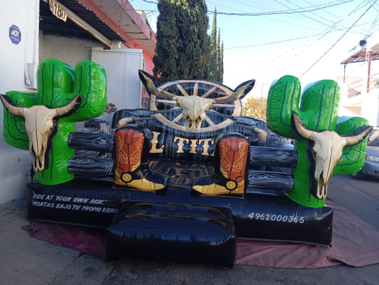 WhatsApp Image 2026-03-11 at 13.19.52 (3)