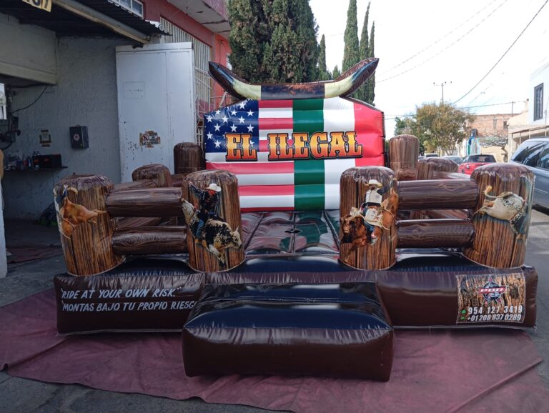 WhatsApp Image 2026-03-11 at 13.19.52