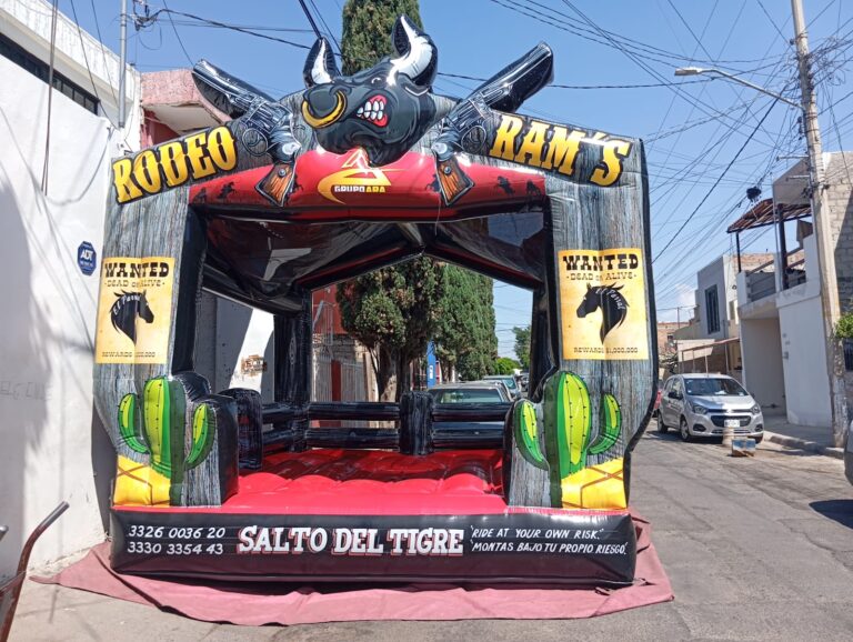 WhatsApp Image 2026-03-11 at 13.19.53